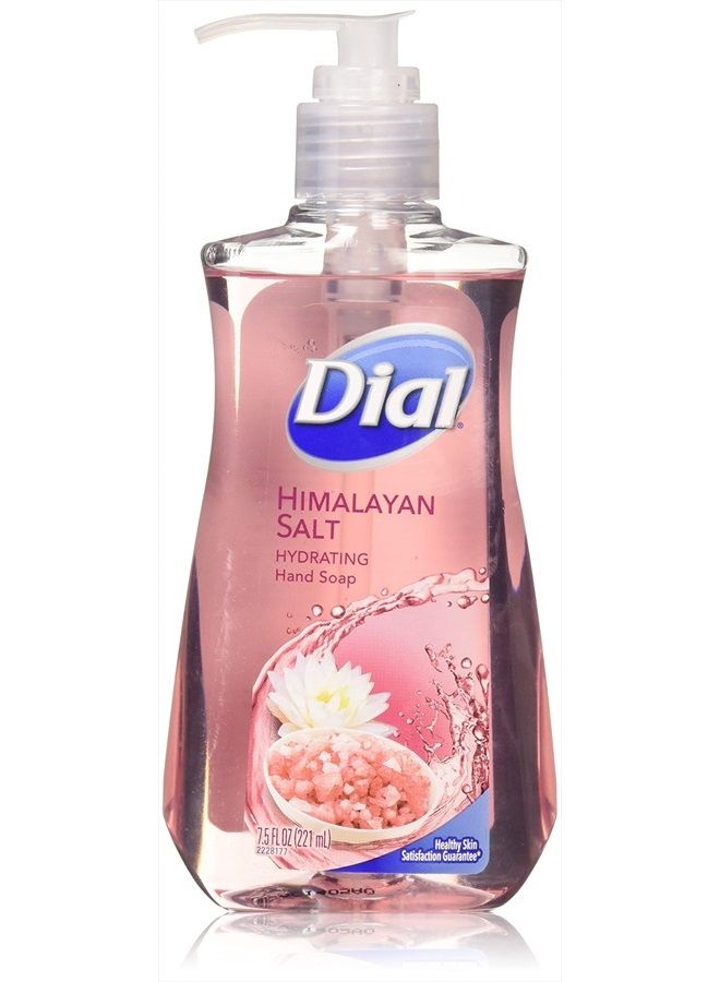 Dial Himalayan Pink Salt & Water Lily Hand Soap with Moisturizer 7.5 Oz. (Pack of 4) - Image 1
