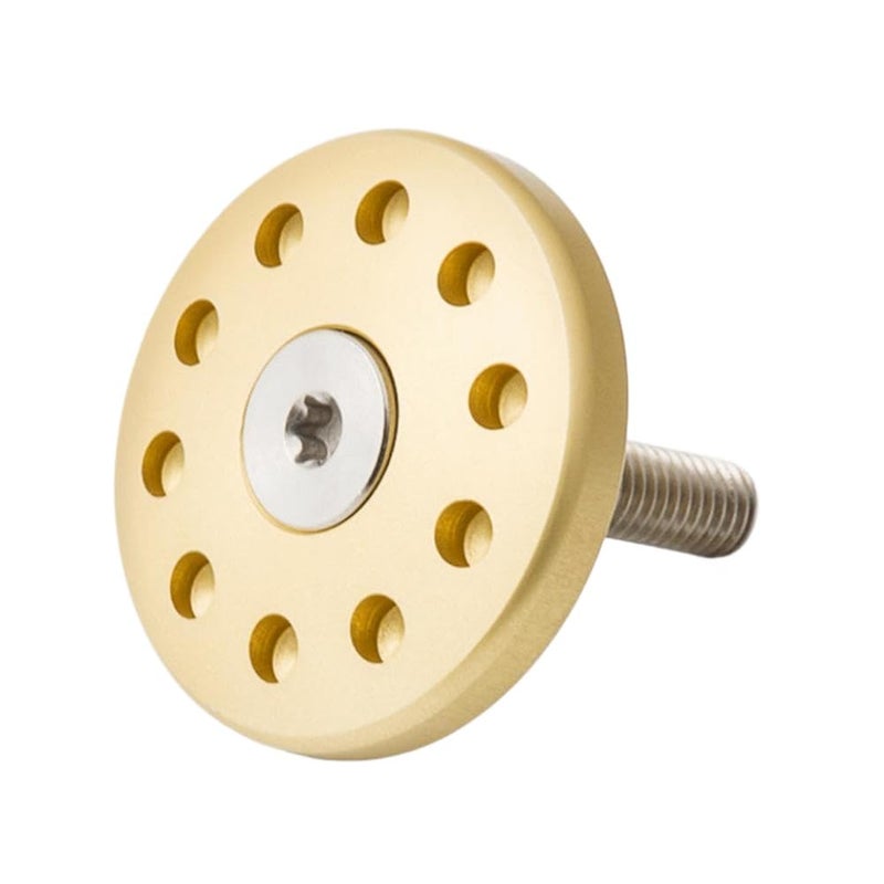 Motorcycle Exhaust Hanger Disc Bolts 2014 2015 2016 Compatible with Automotive Motorcycle Parts R Ninet R 9 T(Gold)