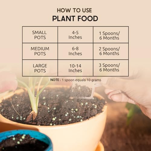 Nurturing Green® All-in-One Plant Food (400gm, granules) | Provides Plant with Nutrition & Growth and improves Soil Health | Nutrient-Rich Fertilizer with Slow Nutrition Release for Home Gardening - Image 2