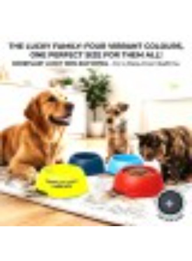 Geoplast Georplast Lucky Antislip Round Pet Bowl for Dogs and Cats - Image 2