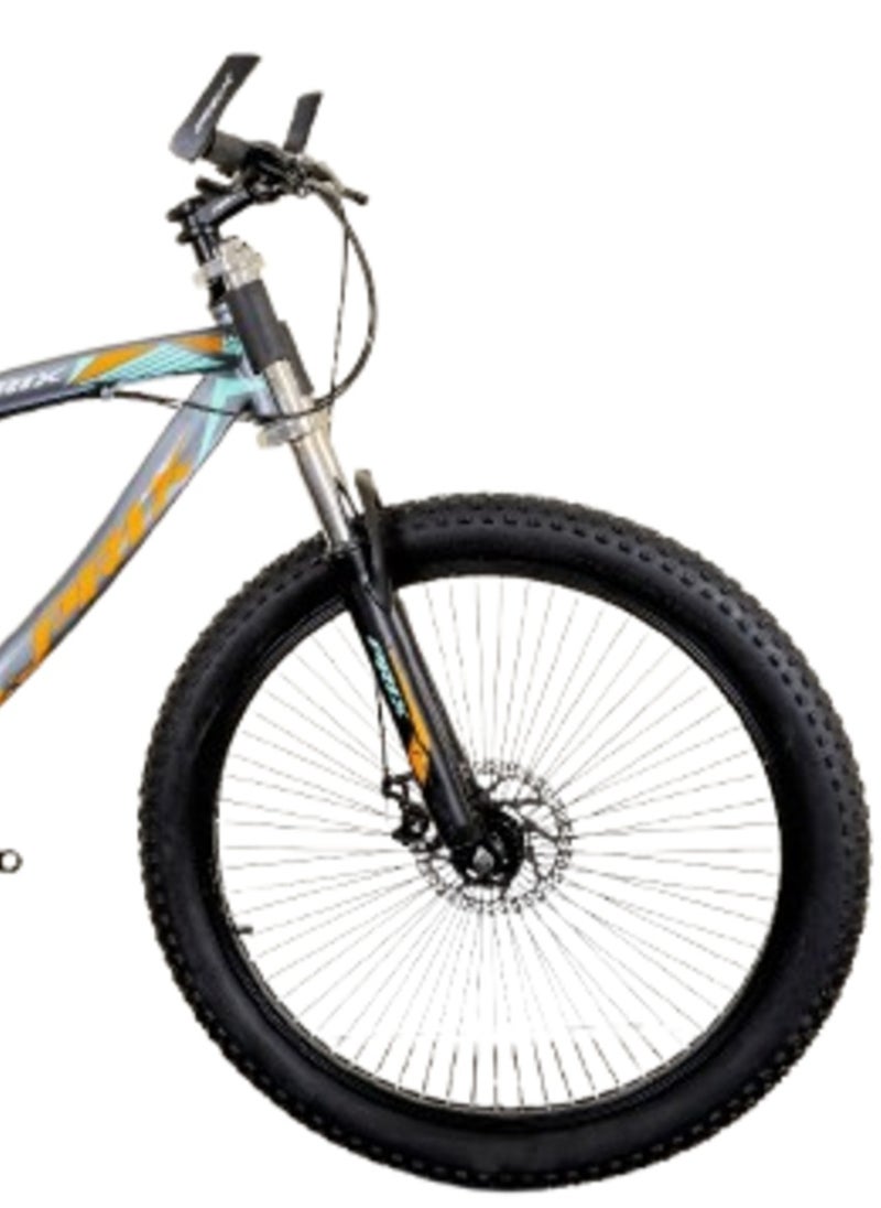 Phoenix Bike 2621 MTB, 21 Speeds, 26 inches inches, Double suspension Steel - pzsku/ZAF9AFD5914A120631435Z/45/_/1726649001/8205eb07-2dad-4bbd-8597-6969f931219d
