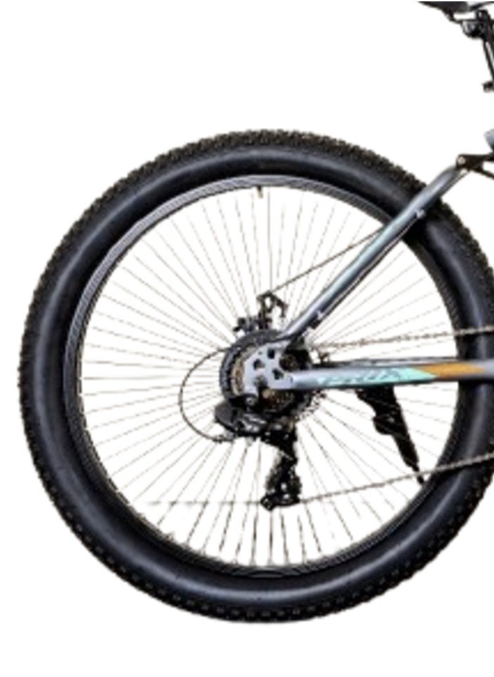 Phoenix Bike 2621 MTB, 21 Speeds, 26 inches inches, Double suspension Steel - pzsku/ZAF9AFD5914A120631435Z/45/_/1726649094/b59370d7-e2f0-4e85-9dc1-158e41558ea0