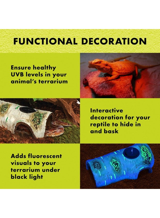 Zilla Rapid Sense UV Detecting Pet Reptile Terrarium Décor, Detects UVB Levels, Poplar Log, Large - Image 4