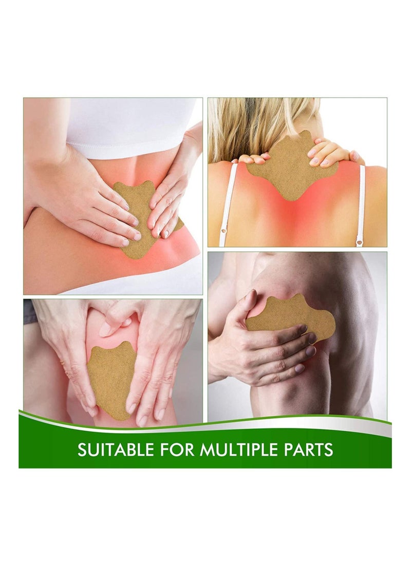 SaluVera SaluVera 10Pcs/Box Pain Lumbar Vertebra Patches Herbal Extract Reduce Inflammation Promote Blood Circulation  - Image 2