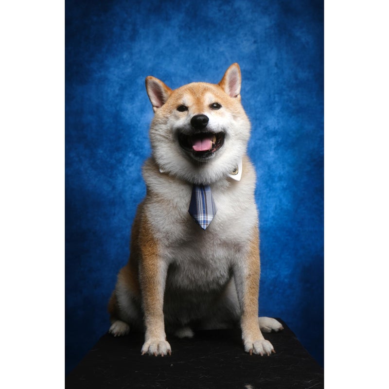 UrcTepics 5Ã—7 ft Blue Fabric Photo Backdrops, Abstract Texture Backdrop for Headshots and Portraits, Photography Background for Studio and Vedio. - Image 5
