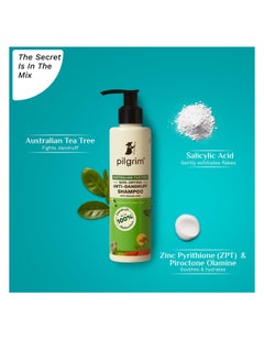 PILGRIM Australian Tea Tree Non Drying Anti Dandruff Shampoo 200 ml Removes Dandruff from Source  Helps with Itching Irritation Strong  Smooth Hair For Men and Women  - Image 2