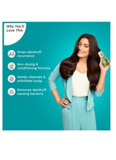 PILGRIM Australian Tea Tree Non Drying Anti Dandruff Shampoo 200 ml Removes Dandruff from Source  Helps with Itching Irritation Strong  Smooth Hair For Men and Women  - Image 3