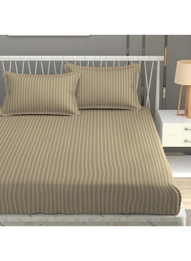 Homefab India 160 TC Stripe Glace Cotton Double BedSheet with 2 Pillow Covers - (90x90 inches) - Beige - Image 1