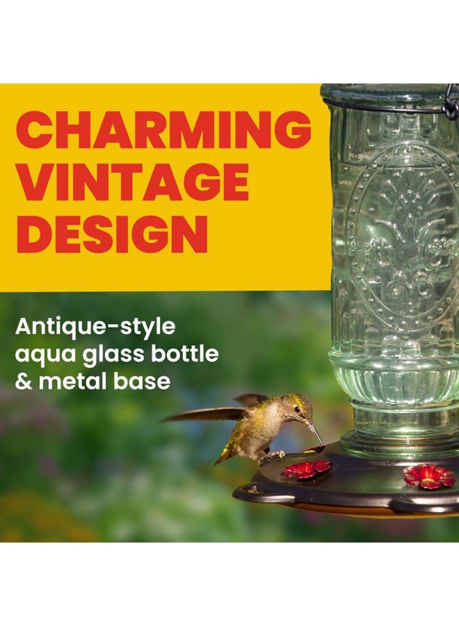 More Birds Hummingbird Feeder, Glass Hummingbird Feeders, 5 Feeding Stations, 20-Ounce Nectar Capacity, Vintage Antique Bottle - Image 4