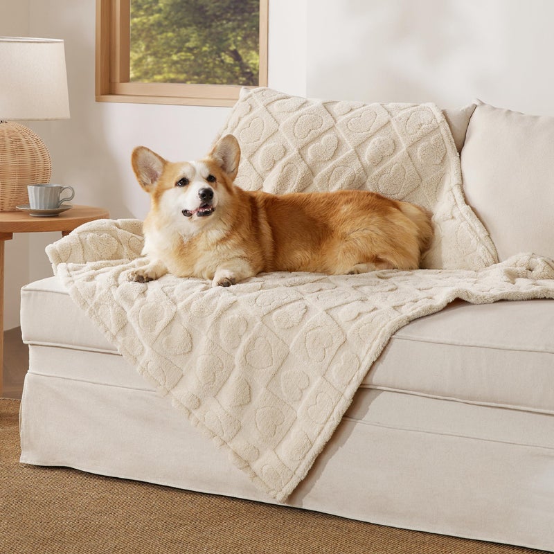 Bedsure Dog Blankets for Large Dogs Washable - Fluffy Fuzzy Cat Puppy Blanket with Premium 300GSM Coral Fleece Soft for Pet Kitten Doggy, White, 40x50IN - Image 1
