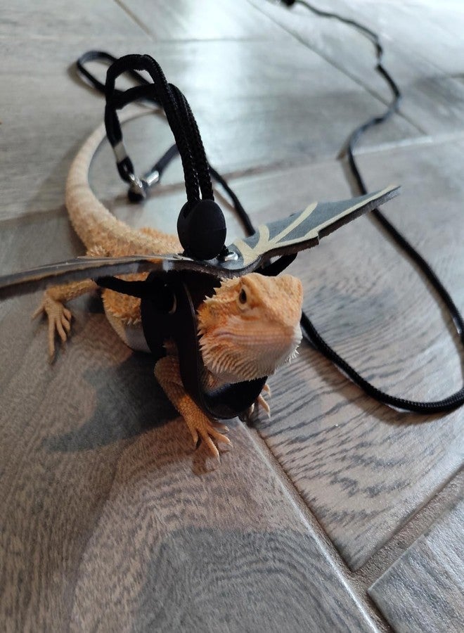 CoguZed Bearded Dragon Leash and Harness Set, Adjustable Lizard Harness, Soft Leather Reptile Costume, Cool Dragon Wing Outfits for Bearded Dragon Lizards(S,M,L, 3 Pack) - Image 5