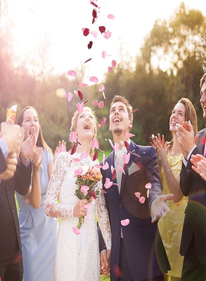 جيوسار ٨٠٠ قطعة من بتلات الورد الحريرية، بتلات زهور صناعية، بتلات زهور بلون عنابي لحفلات الزفاف، سلة زهور للفتيات الصغيرات، ممر رومانسي، نثرها على طاولات العشاء، زينة حفلات توديع العزوبية، زينة عيد الأم - Image 4