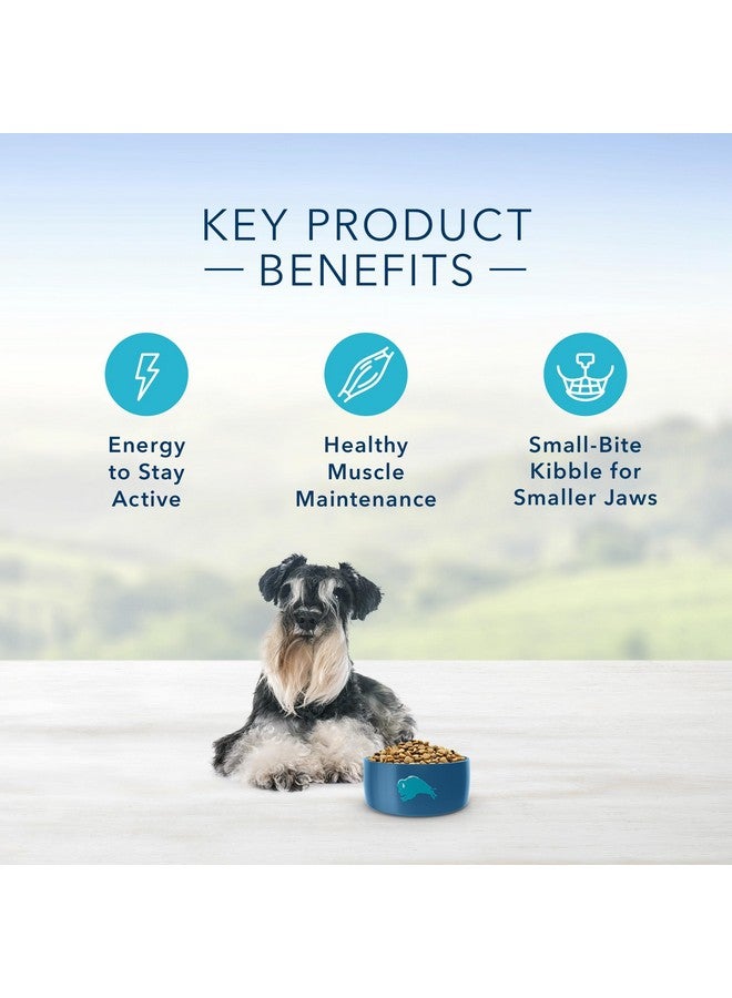 بلو بافلو طعام جاف للكلاب من Life Protection Formula Small Breed Senior، يدعم صحة المفاصل والمناعة، مصنوع من مكونات طبيعية، وصفة الدجاج والأرز البني، كيس 5 أرطال - Image 5