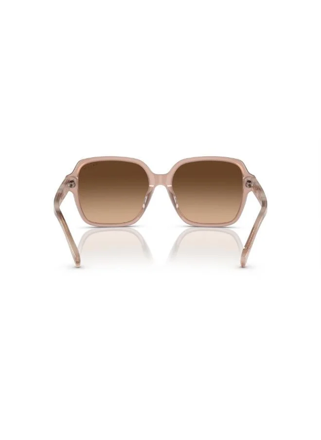 لورين باي رالف لورين 0Ra5304U Oversized Sunglasses