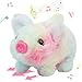 Hopearl Walking Piggy Pet Interactive Crawling Piglet Electronic Plush Toy Pig Oink Twitch Nose Wag Tail Animated Gifts for Toddlers Birthday Rainbow 8 - Image 2