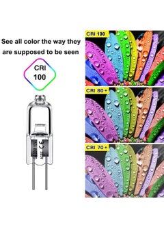 Y&D 12 Pack G4 Bulb Crystal Clear Halogen Light for Under Cabinet Puck Chandeliers Landscape Lighting  - Image 2