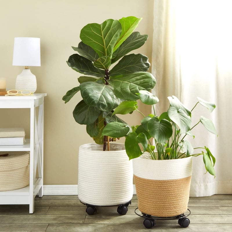 Bright Creations Plant Stand with Wheels - 10.6 in Diameter, Black, Pack of 4, Modern - Metal Rolling Plant Stand Base with 360-Degree Rotation & Locking Casters for Indoor & Outdoor Planter Pots - Image 3