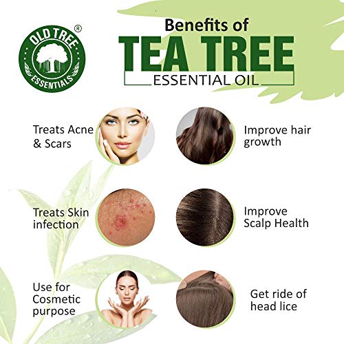 Old Tree Pure & Natural Tea Tree Essential Oil (15ml) - for Skin, Diffusers, Hair, Body, Acne, Nail care - Undiluted Essential Oil with Dropper for Aroma Therapy and Stress Relief - Image 2