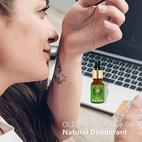 Old Tree Pure & Natural Tea Tree Essential Oil (15ml) - for Skin, Diffusers, Hair, Body, Acne, Nail care - Undiluted Essential Oil with Dropper for Aroma Therapy and Stress Relief - Image 3