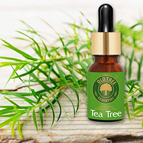 Old Tree Pure & Natural Tea Tree Essential Oil (15ml) - for Skin, Diffusers, Hair, Body, Acne, Nail care - Undiluted Essential Oil with Dropper for Aroma Therapy and Stress Relief - Image 5
