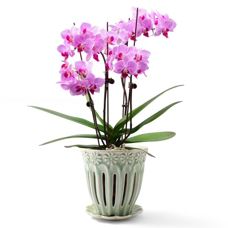 Suaden 5"" Ceramic Orchid Pots With Holes | Crackle Glazed Orchid Pot With Drainage And Separate Saucer | Ideal Plant Pot For Repotting Orchids And Other Flowers(Green) - Image 1