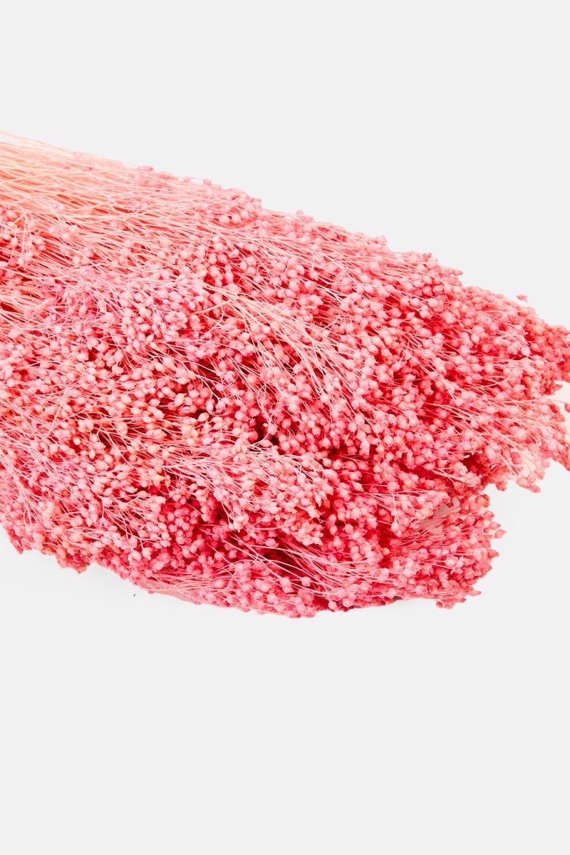 Muy Mucho Brooms Dried Flower Bunch 55 cm, Peach  - Image 3