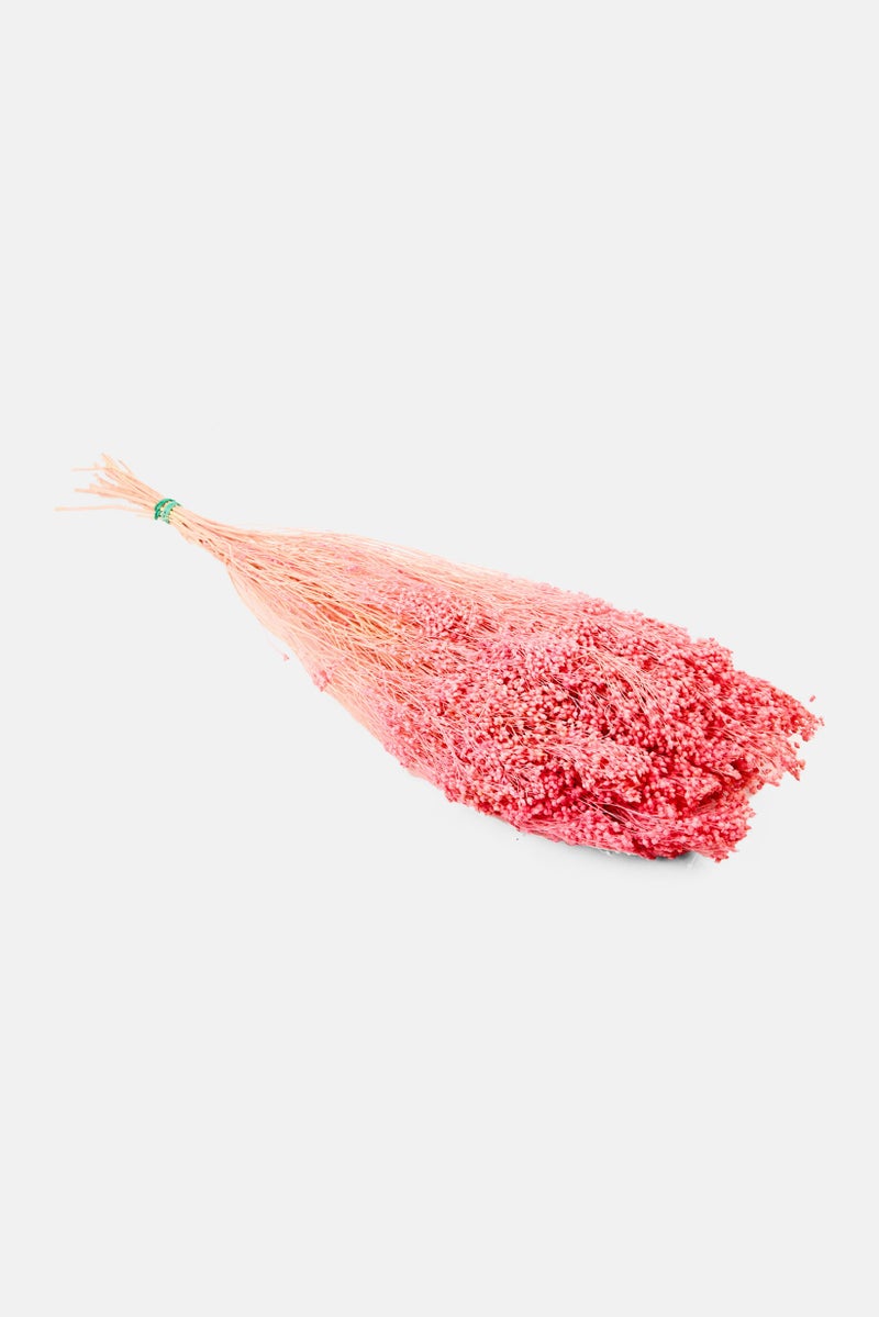 Muy Mucho Brooms Dried Flower Bunch 55 cm, Peach  - Image 2