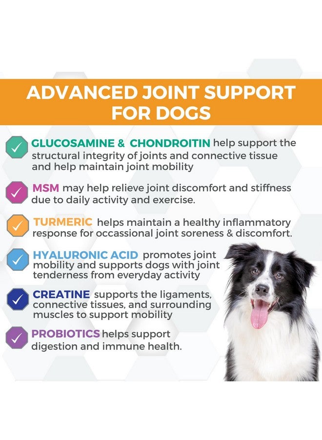 nootie Progility Hip & Joint Supplement For Dogs, Dog Joint Support With Glucosamine And Chondroitin, 90 Count - Image 2