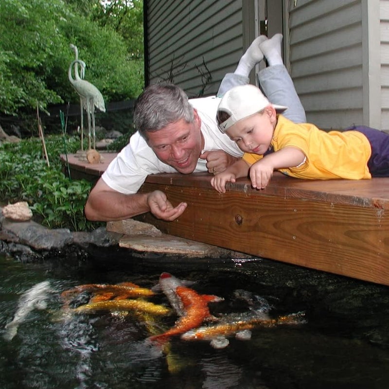 Aquascape Premium Cold Water Fish Food Pellets for Small to Medium Koi  Pond Fish Small Pellet 225 pounds  98871 - Image 5