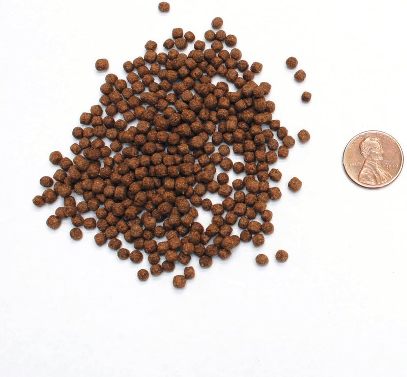 Aquascape Premium Cold Water Fish Food Pellets for Small to Medium Koi  Pond Fish Small Pellet 225 pounds  98871 - Image 3