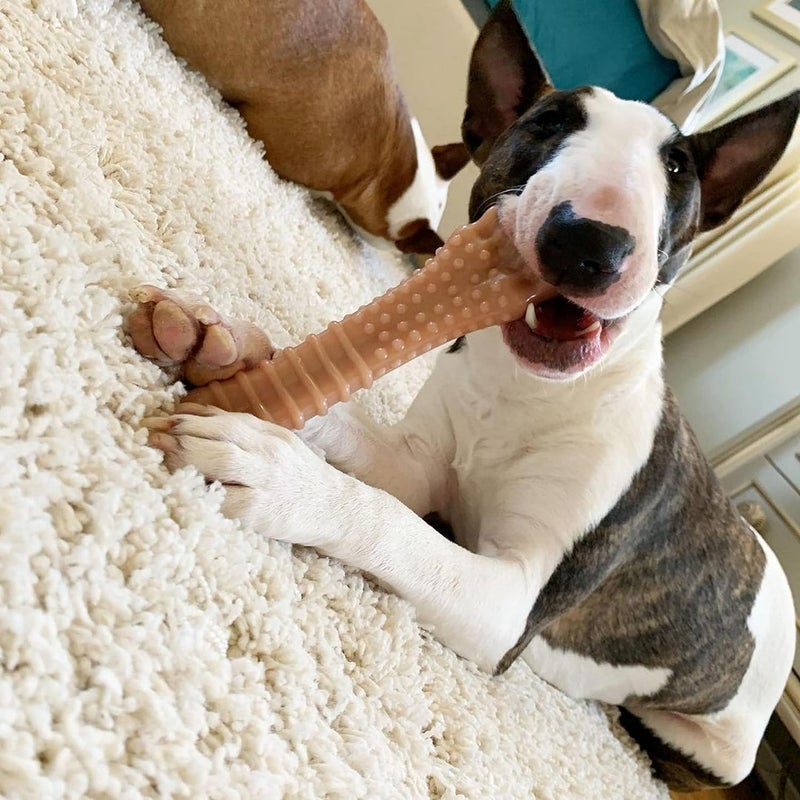 Nylabone Dura Chew Textured Dog Chew Toy for Large Breeds - X-Large, Bacon Flavor - Image 4