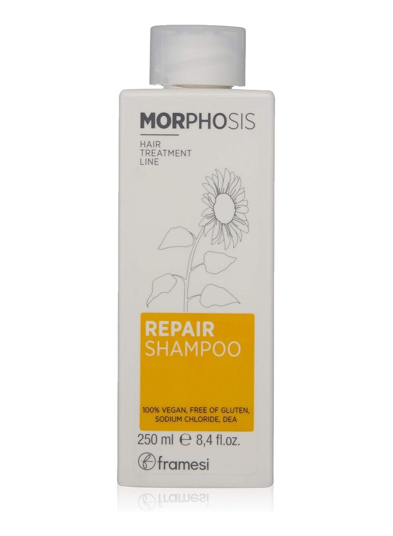 Framesi Morphosis MORPHOSIS - REPAIR SHAMPOO 250 ML - Image 1