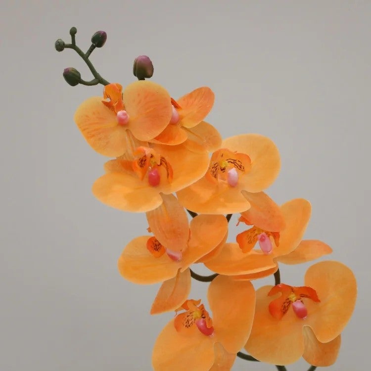 Y&D New Design 8 Heads Phalaenopsis Butterfly Orchids Artificial Flowers Real Touch Latex Orchid for Wedding Home Decor - Image 5