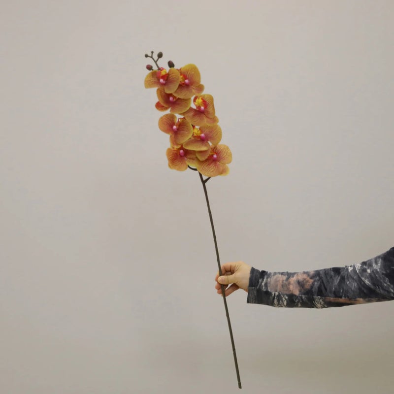 Y&D New Design 8 Heads Phalaenopsis Butterfly Orchids Artificial Flowers Real Touch Latex Orchid for Wedding Home Decor - Image 1