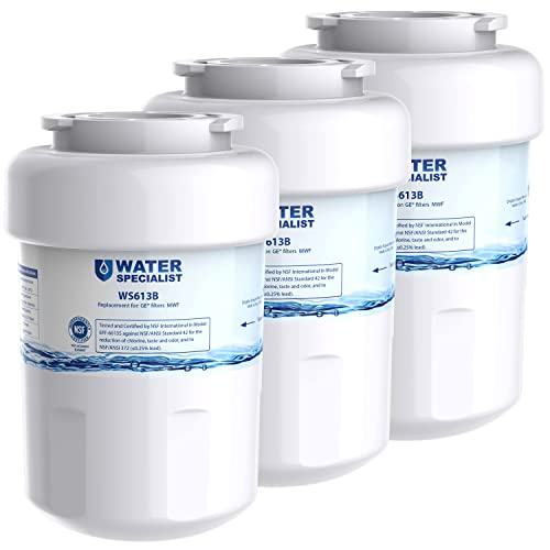 Waterspecialist فلتر مياه ثلاجة واتر سبيشاليست WS613B بديل لـ MWF®، SmartWater® MWFP، MWFA، GWF، HDX FMG-1، WFC1201، GSE25GSHECSS، PC75009، RWF1060، فلتر مياه ثلاجة كينمور® 9991، 3 فلاتر - Image 1