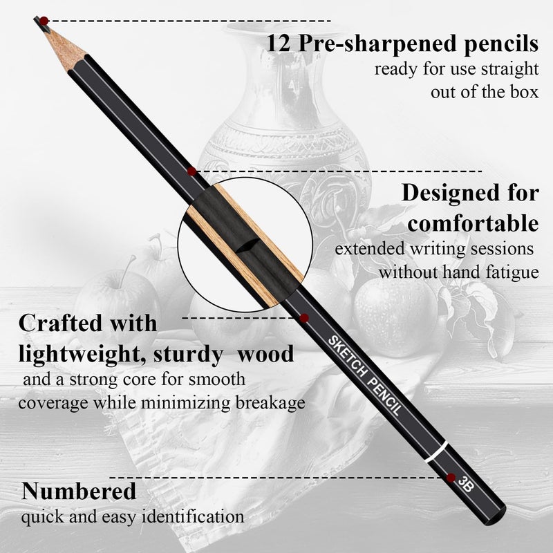 Aenir Sketch Pencils for Drawing, Set of 12 Drawing Pencils for Sketching Medium (6B - 4H), Artist Graphite Pencils, Sketch Set for Artists for Sketching Supplies, Art Supplies. - Image 3