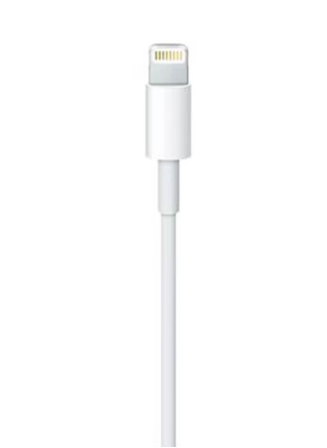 Lommyka - High-Quality Wired Earphones with Lightning Connector - Image 1