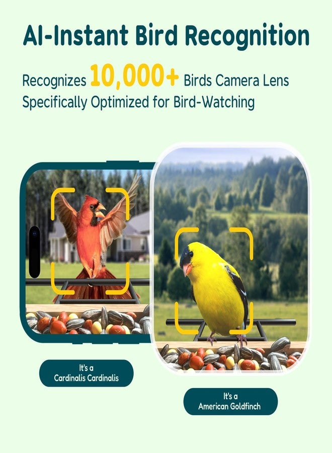 TT Nature Bird Feeder with Camera Solar Powered, Upgraded 1.5L Smart Bird Feeder Camera for Bird Watching, Auto Capture & Instant Real-time Notifications, Ideal Gift for Bird Lovers - Image 3