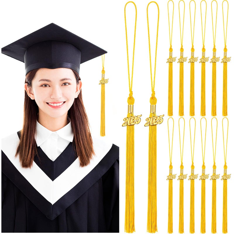 Yaomiao Yaomiao 14 Pieces 2025 Year Charm Graduation Tassel Academic Graduation Hat Tassel with Decoration for Graduates Ceremonies Parties Accessories
