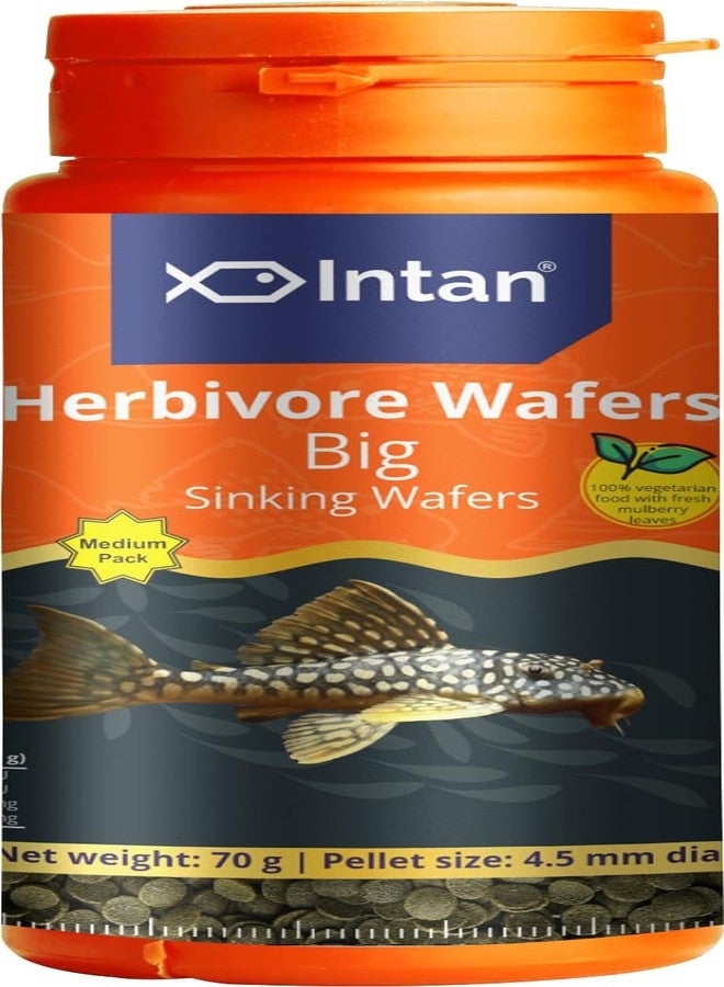 Intan Herbivore Wafers - Big Sinking Wafers for Herbivore Fish | Medium Pack 70 Gram, 4.5 mm Diameter