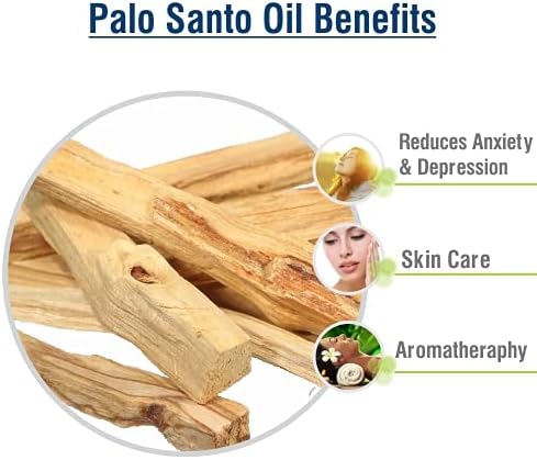 Salvia زيت ساو بالميتو سيرينوا ريبينس زيت نقي وطبيعي مضغوط على البارد يرطب ويغذي البشرة يمنع تساقط الشعر يستخدم في الكريمات واللوشن والشامبو والسيروم والعديد من المنتجات الأخرى 100 مل - Image 3