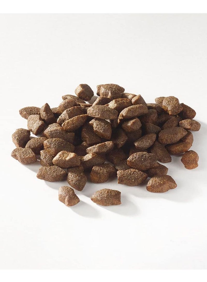 (فيش٤دوجس) عبوة من 10 أكياس: مكافآت Fish4Dogs Support+ (سمك السلمون - قطع صغيرة) للجراء - 150 جم - Image 3