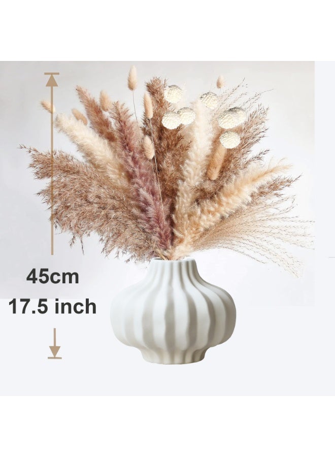 MirageBotanics 105 PCS Natural Dried Pampas Grass Boho Home Decor Bouquet Phragmites Dried Flowers Bouquet for Wedding Floral Arrangements Home Decorations - Image 5