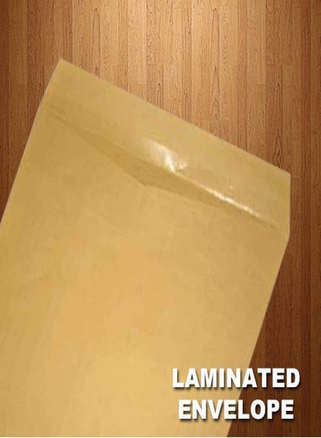 Sehgal Laminated Yellow Paper Legal Size Envelope Ideal For Home Office Secure Mailing | Poly Laminated inside | 10 x 14 inch (Pack of 50) - Image 3