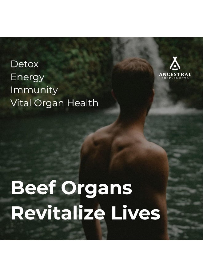 Ancestral Supplements Grass Fed Beef Organs (Desiccated) — Liver, Heart, Kidney, Pancreas, Spleen - Image 3