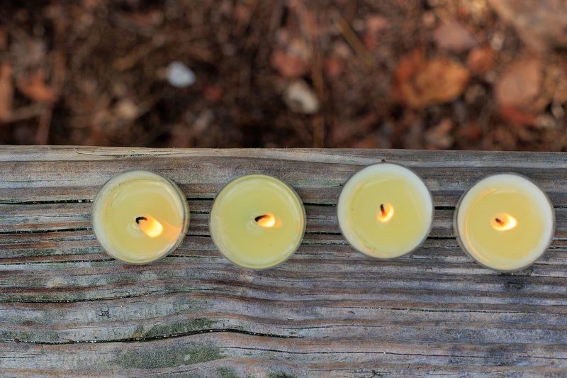 Mosquito Guard 16 Tealight Citronella Candles Outdoor Mosquito Repellent Indoors - DEET Free Mosquito Candles for Outside - Natural Mosquito Repellent Outdoor Patio Candle - Yard Bug Repellent Candle - Image 5