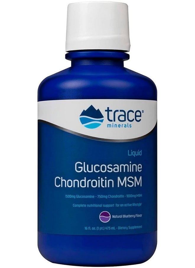 Trace Minerals Trace Minerals | Liquid Glucosamine Chondroitin MSM | Complete Dietary Supplement for Active Lifestyle | Supports Joints, Cartilage and Mobility | Natural Blueberry Flavor | 16 Servings, 16 fl oz  - Image 1