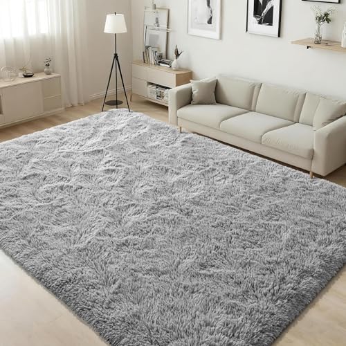 ISEAU 3x5 Area Rug for Dorm College Apartment Living Room Grey Rugs for Bedroom Soft Shaggy Carpets Fluffy and Washable Mats Under Bed On Nursery Floors Mat Boys Girls Room Carpet Decor