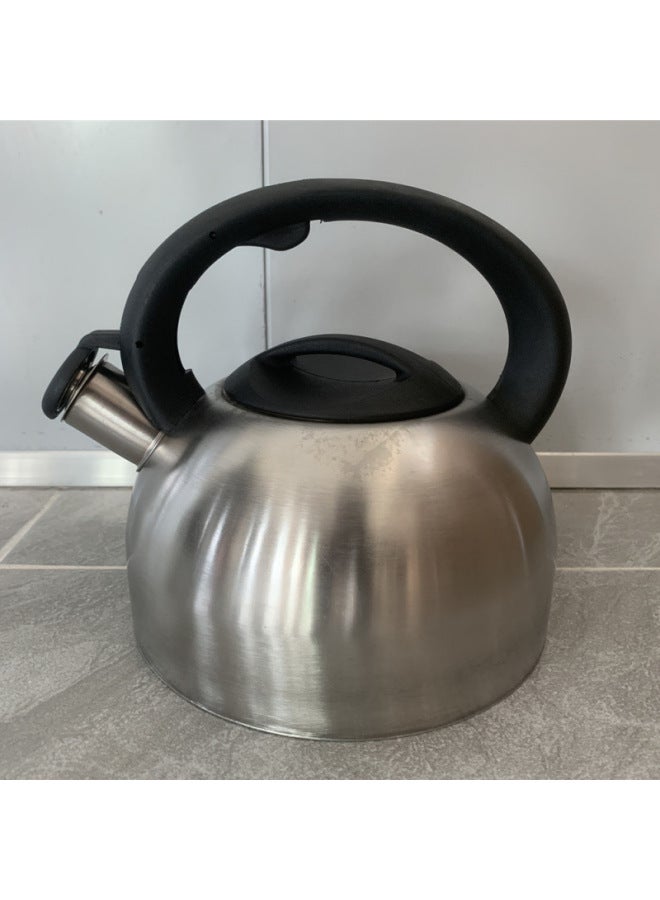 Wild Teapot Cap Explosion-proof Travel Household Stainless Steel Flat Bottom Sound Kettle Induction Cooker Gas Stove Free Shipping-Color:Extra Thick Natural Color 2 Liters-Capacity:Default  - Image 1