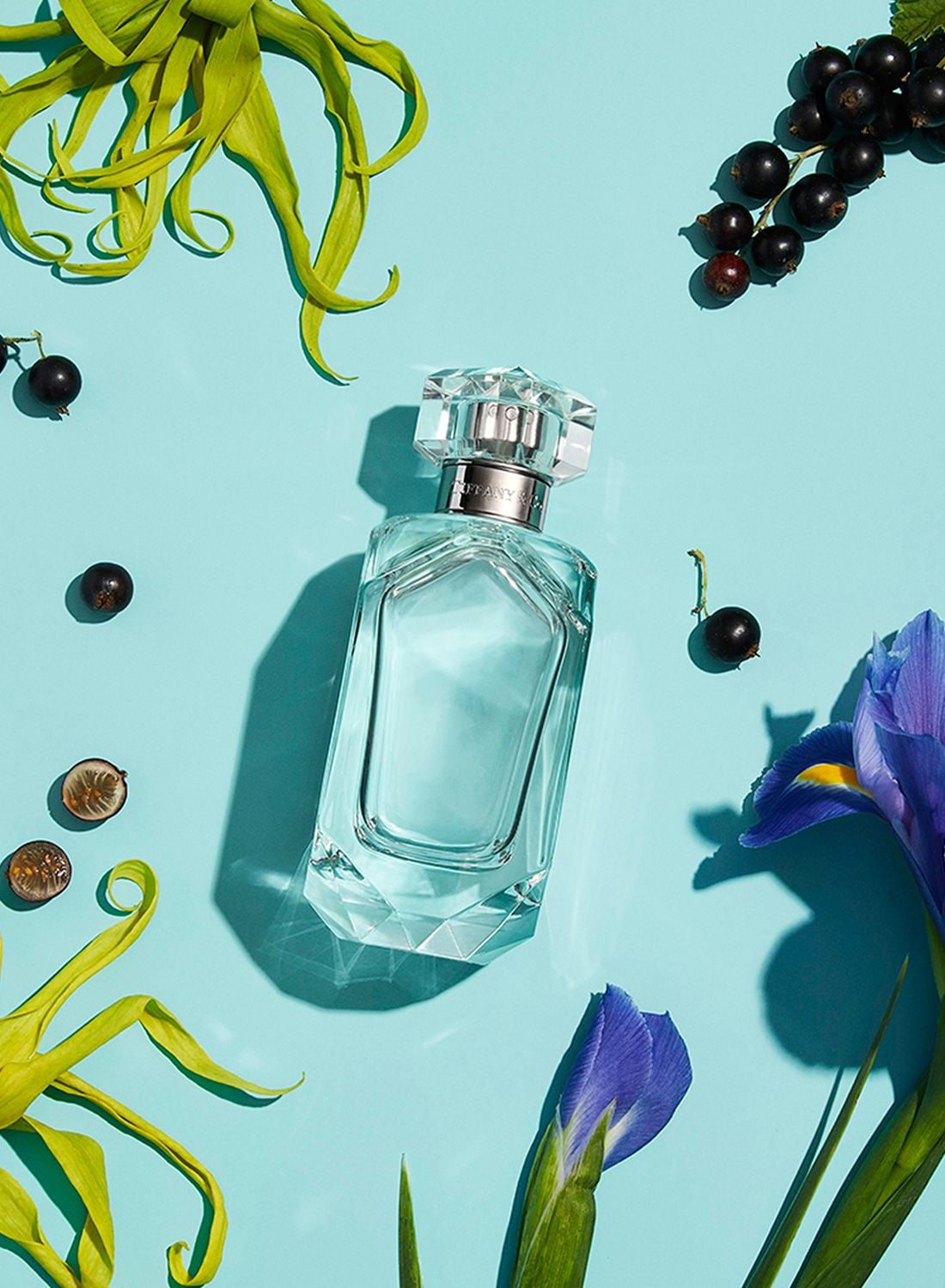 1.6oz/50ml ティファニー＆ラブ オードパルファム FOR HER TIFFANY&Co. ティファニー TIFFANY＆Co. 香水 レディース